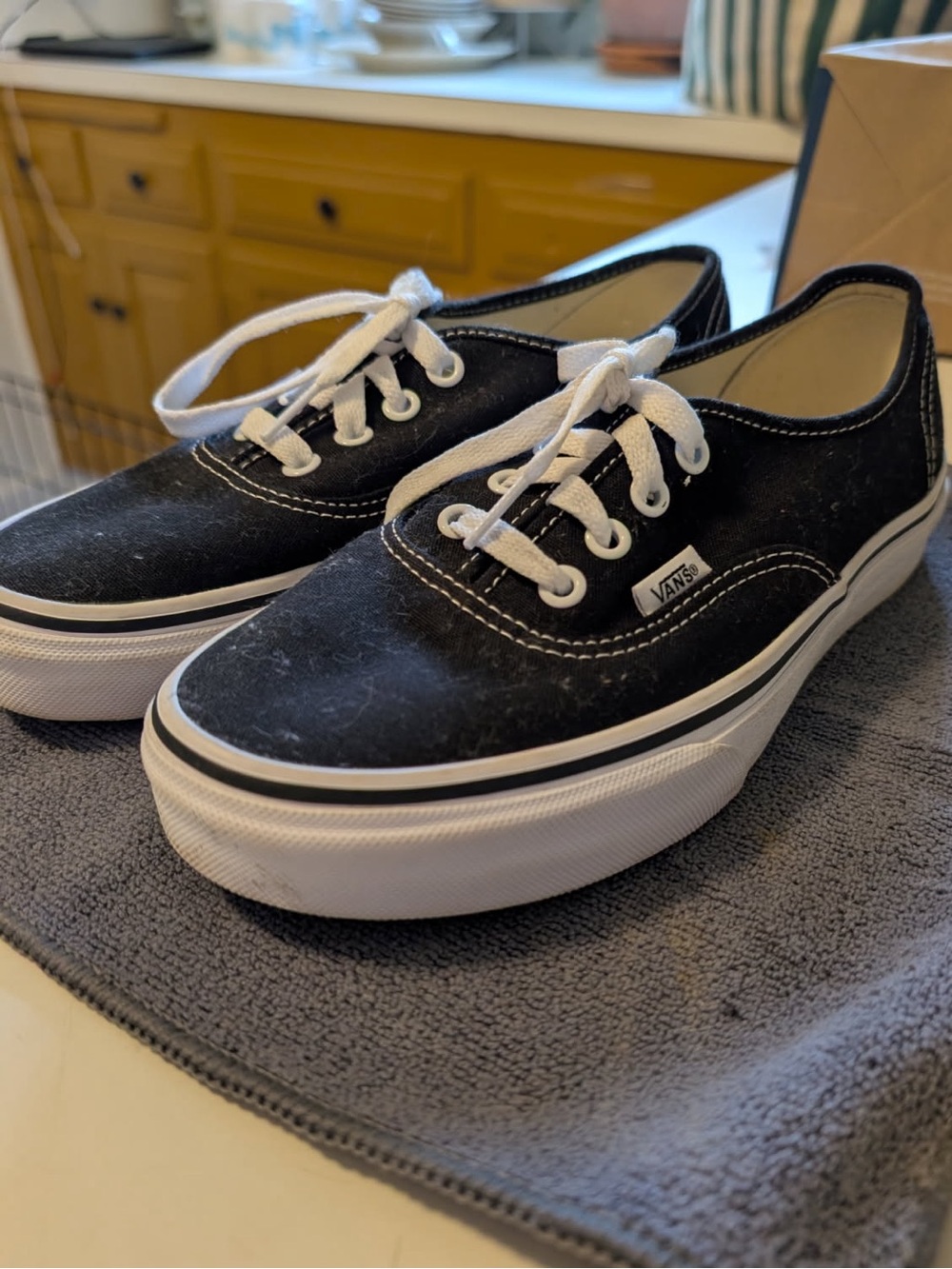 Vans Authentic shoes like new